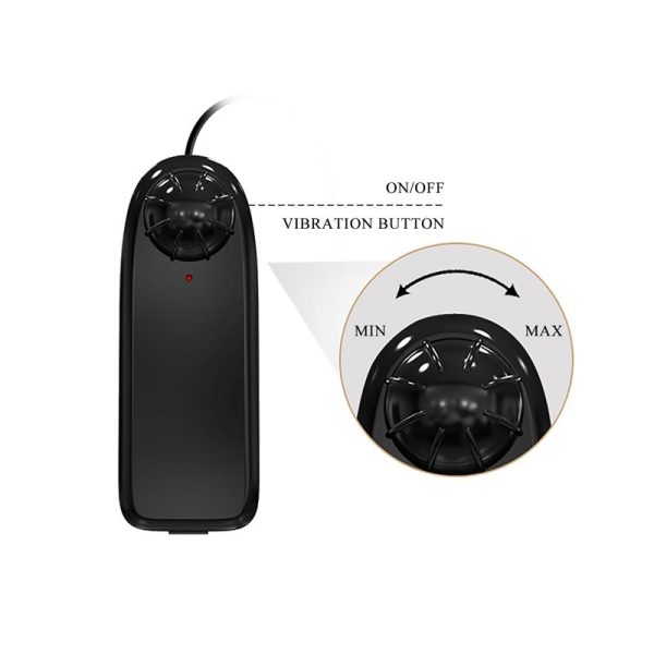 Arnés con Dildo y Vibración 9.4 - imagen 12