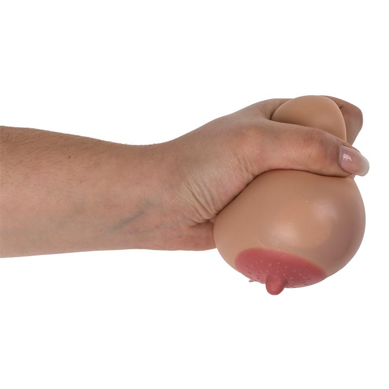 155531