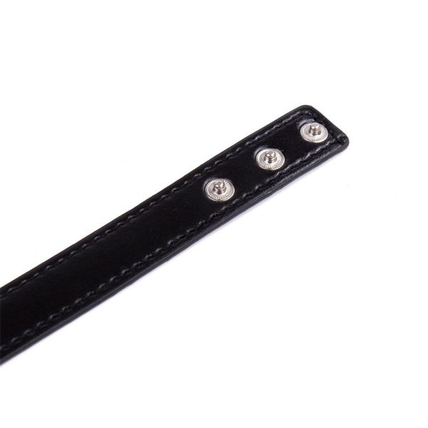 Collar con Aro Ajustable 38,2 cm Negro - imagen 2