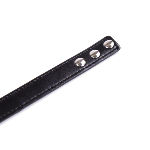 Collar con Aro Ajustable 38,2 cm Negro - imagen 5