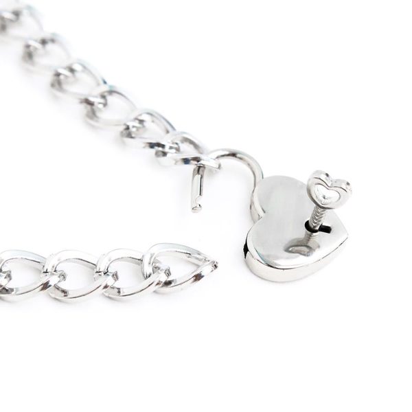 Collar con Candado Metal Talla M 44 cm - imagen 4