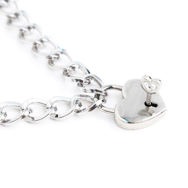 Collar con Candado Metal Talla M 44 cm - imagen 5