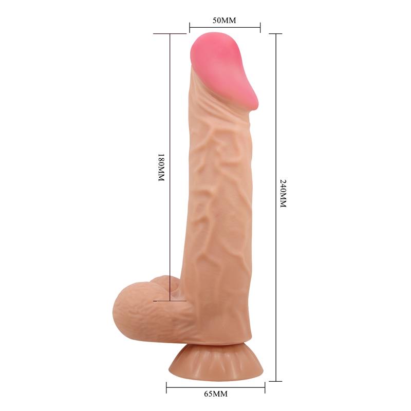 162481