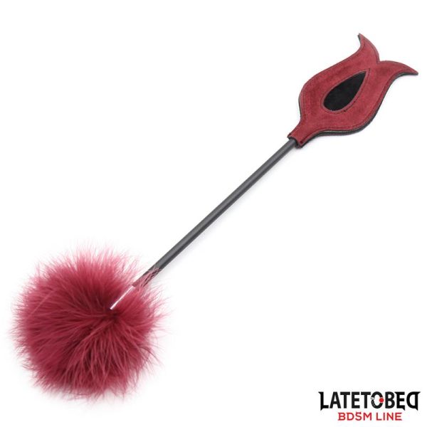 Estimulador de Plumas con Pala - imagen 2