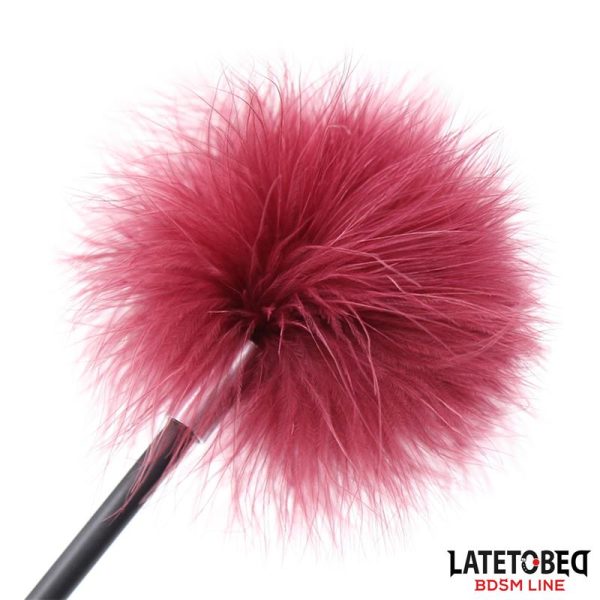 Estimulador de Plumas con Pala - imagen 3