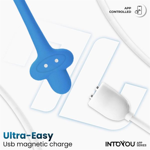Huevo con Up and Down (Thrusting) y APP USB - imagen 3
