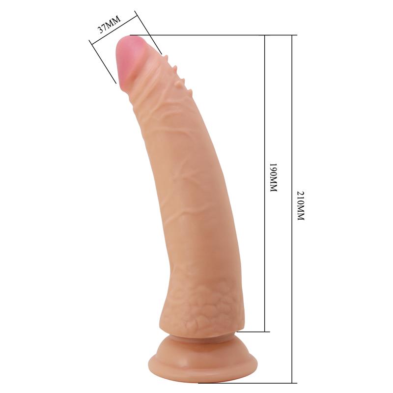 162593