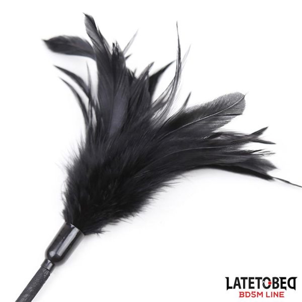 Multi Feathers Tickler and Lace Ribbon Paddle Comb - imagen 4