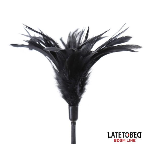 Multi Feathers Tickler and Lace Ribbon Paddle Comb - imagen 8