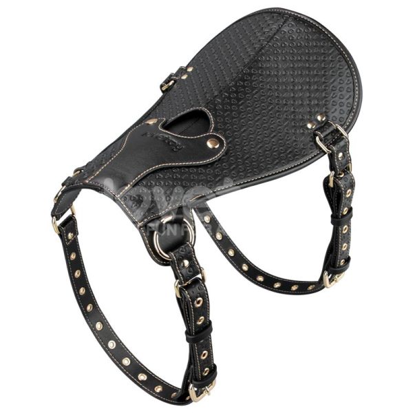 Rebellion Reign Dildo Saddle Silla de Montar - imagen 3