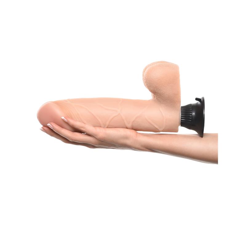 154596