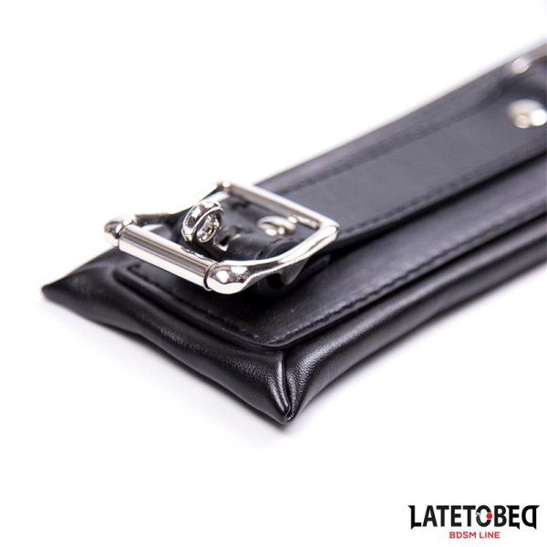 Collar Acolchado Grande con Correa - imagen 3