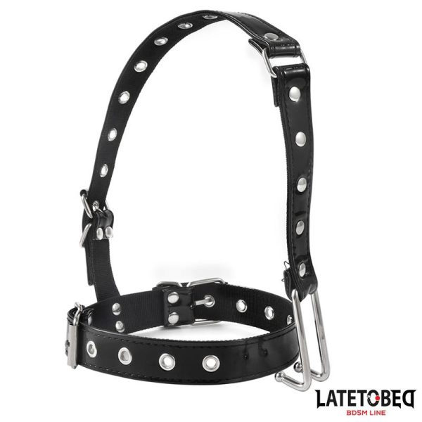 Collar con Gancho para la Nariz - imagen 2