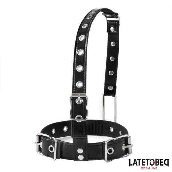 Collar con Gancho para la Nariz - imagen 3