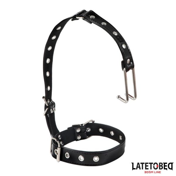 Collar con Gancho para la Nariz - imagen 8