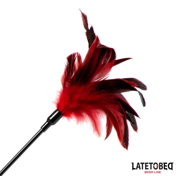 Pala con Plumas 2 en 1 - imagen 2
