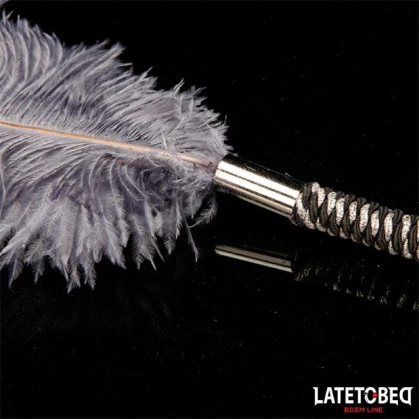 Pluma Estimuladora 44 cm - imagen 3