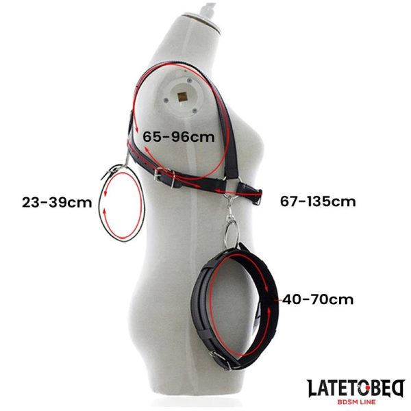 Restricciones de Piernas Abiertas - imagen 6
