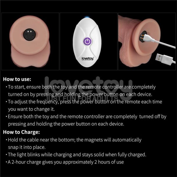 Dildo con Vibración Piel Deslizante Silicona Dual Layer 10 - imagen 17