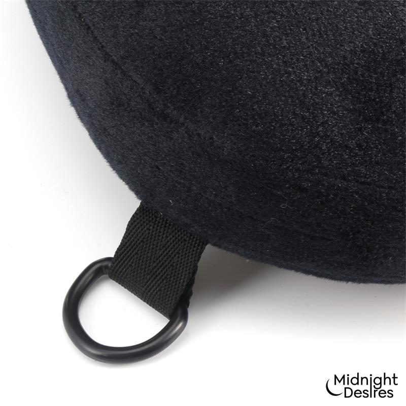 317729