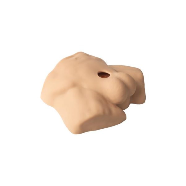 Apollo S Medio Torso 7 Silicona Líquida - imagen 4