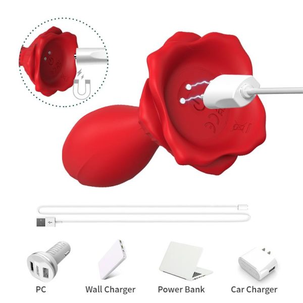 Plug Anal con Vibración Base de Rosa - imagen 11